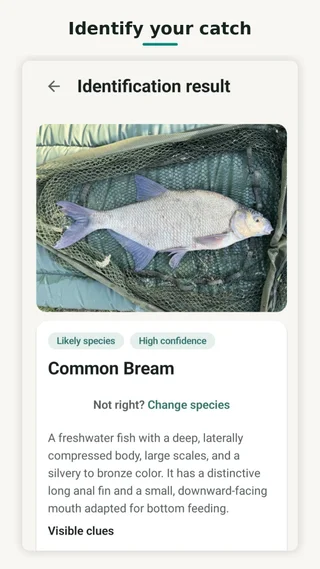 CatchID identification result showing a likely species and the option to change species.